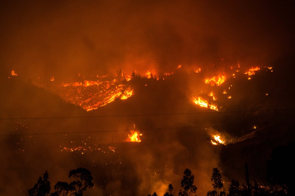 Vụ cháy rừng tồi tệ nhất trong lịch sử Chile và ảnh hưởng đến giá của bột giấy
