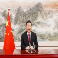 Xi kêu gọi các bước chung hướng tới phục hồi, ổn định tài chính