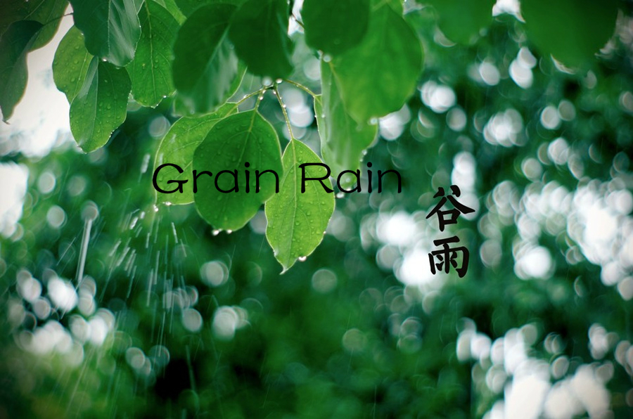 Culture Insider: Năm điều có thể bạn chưa biết về Grain Rain
